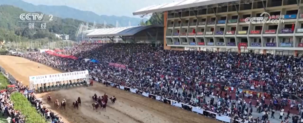 5 万人挤爆看台！贵州村马总决赛，骏马飞驰，观众沸腾
