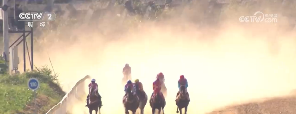 5 万人挤爆看台！贵州村马总决赛，骏马飞驰，观众沸腾  第2张