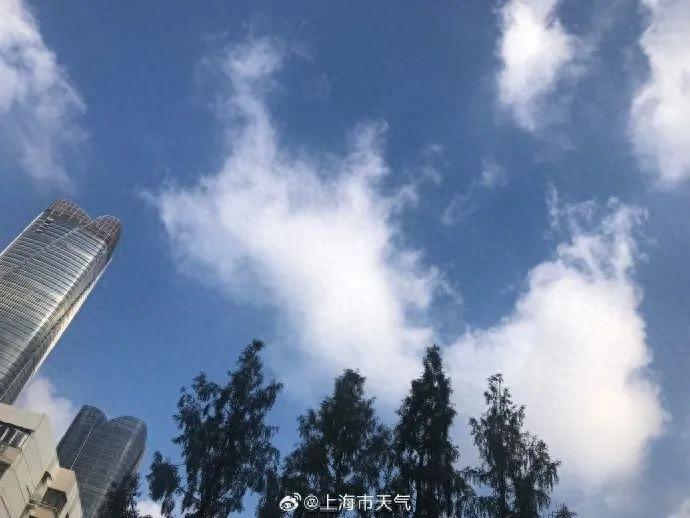 本周上海天气晴好，周四气温将达 24℃，你准备好了吗？  第1张
