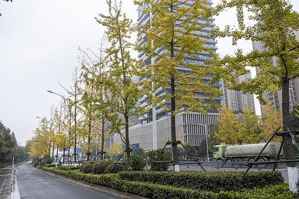 气温大回暖！本周浙江大部最高气温将稳定在 20℃+，但后半周需注意这些事  第2张