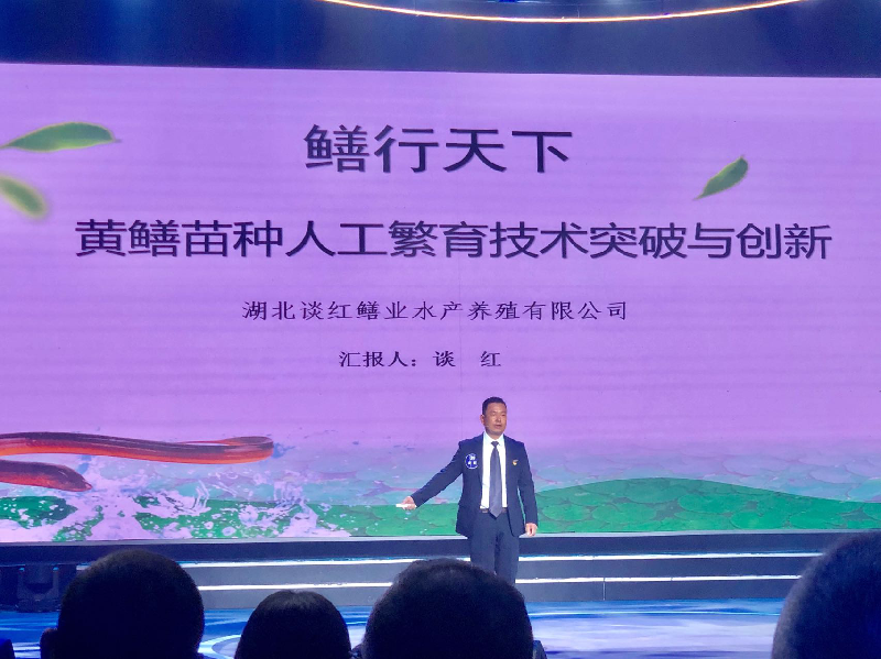 咸宁选手在湖北省农村实用人才创业创新项目大赛中表现突出，斩获佳绩