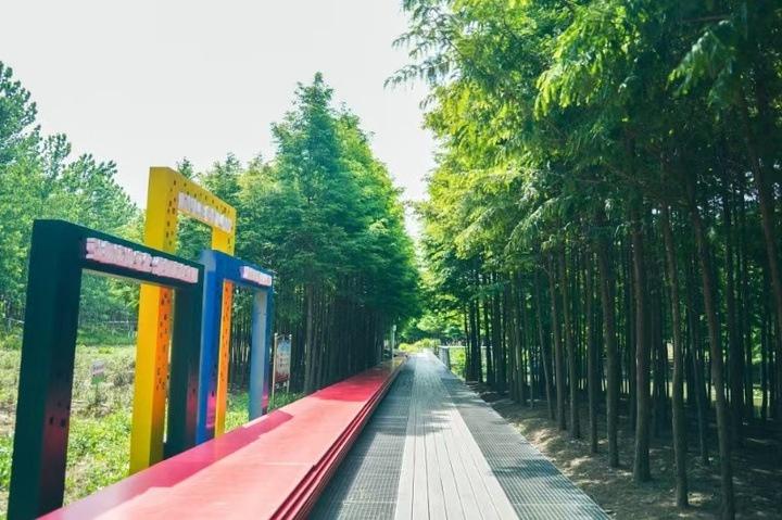 通安镇：完善健身设施，打造健康步道，助力乡村振兴  第2张