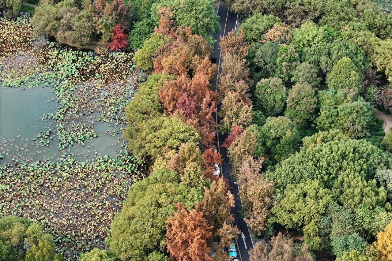 四台共舞！11 月中旬天气舞台稀奇，最高气温 25℃+，短袖竟然可以派上用场