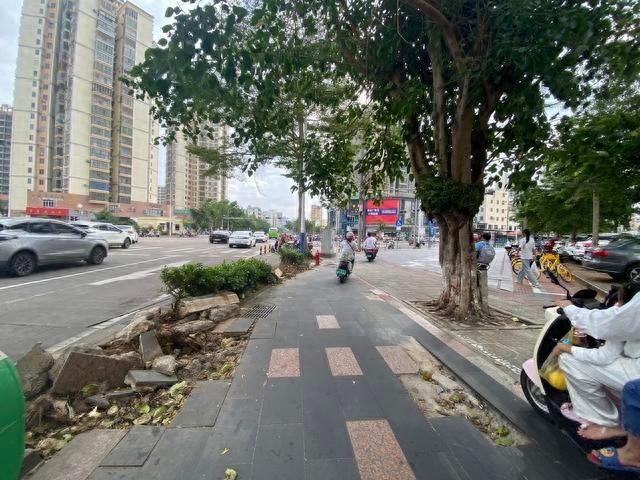 台风过境两月有余，海口部分人行道地砖破损无人问津