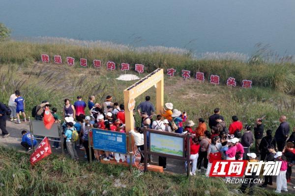 1000 人齐聚！这个小岛因何如此火爆？  第2张