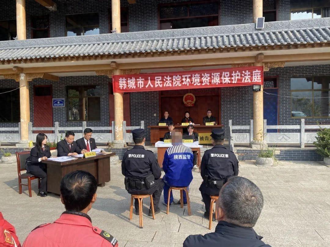 董某某非法猎捕野生动物，获刑一年三个月  第1张