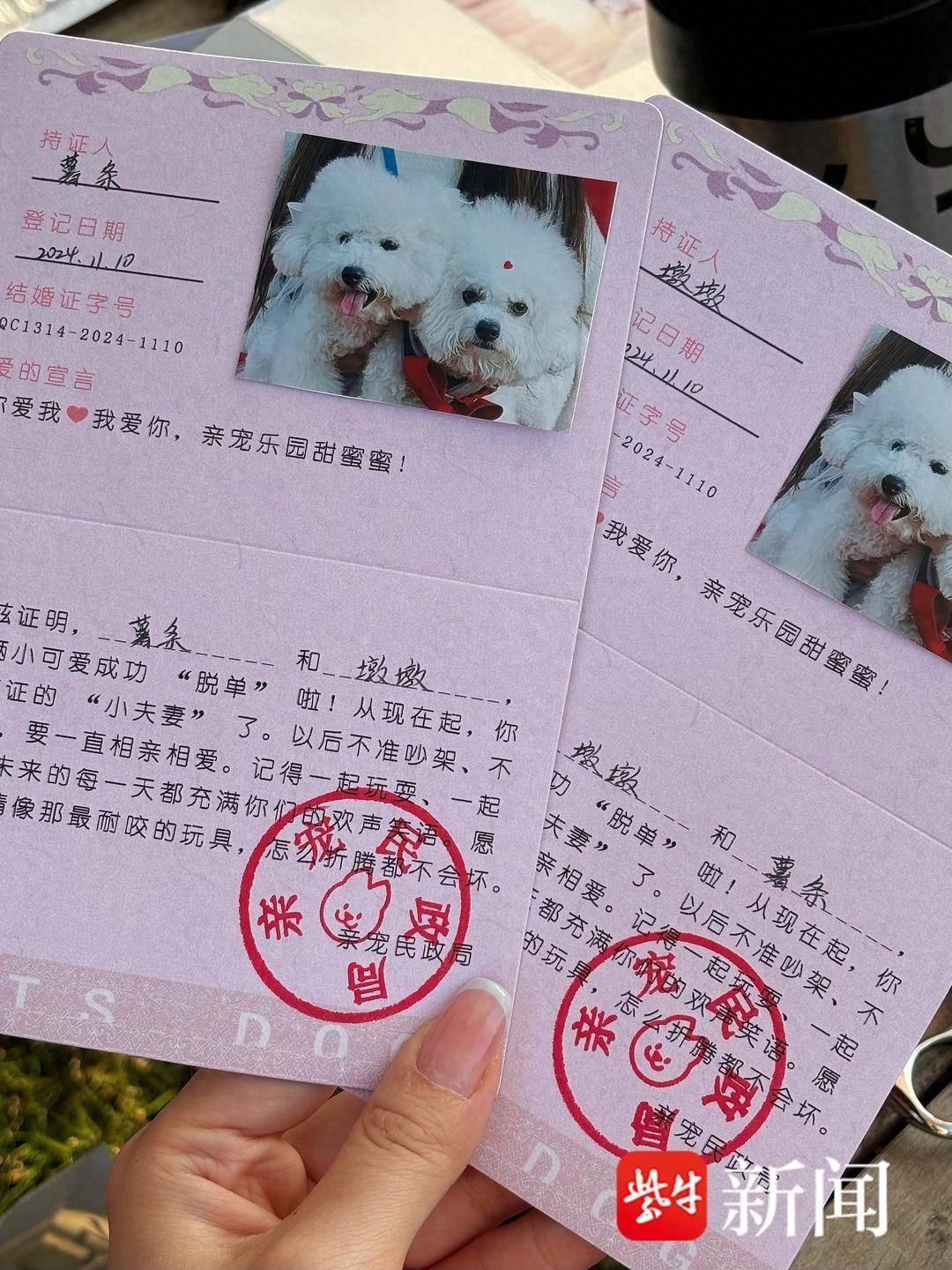 18 对萌宠集体结婚，你见过吗？
