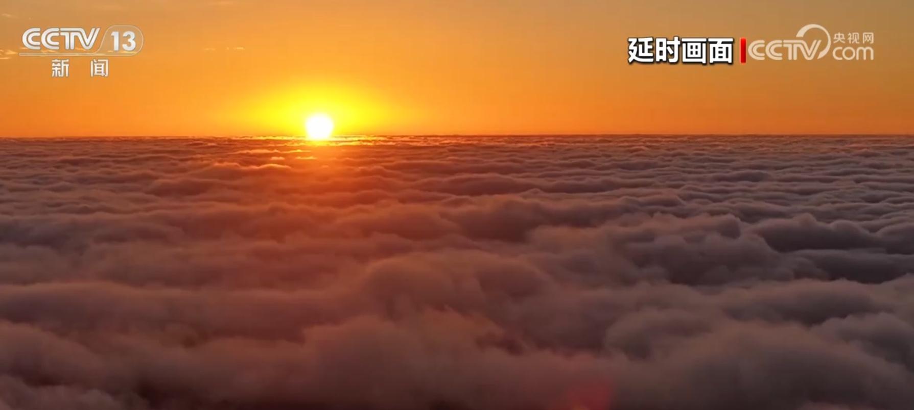 江苏连云港赣榆区沿海湿地喜迎大批珍稀鸟类，重庆巫溪云海美如画  第2张