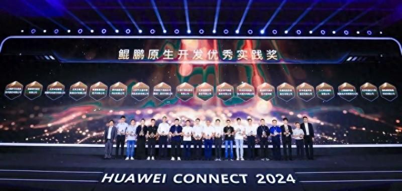 税友荣获鲲鹏原生开发优秀实践奖，国产化自主可控领域再创佳绩  第1张