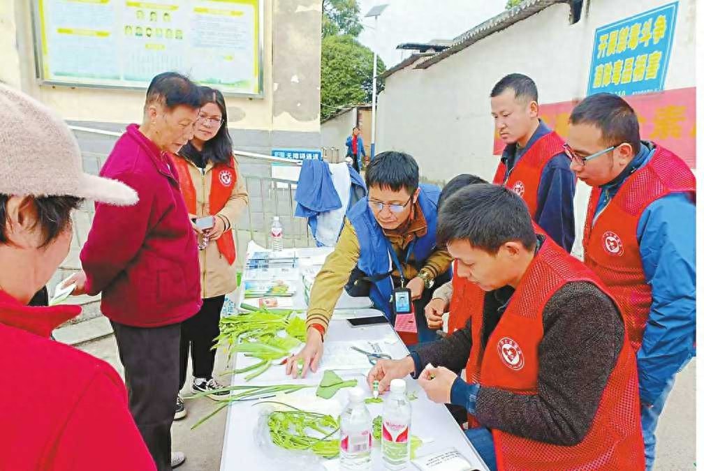你点我检！桂林社区居民现场检测蔬菜农药残留，结果让人大吃一惊