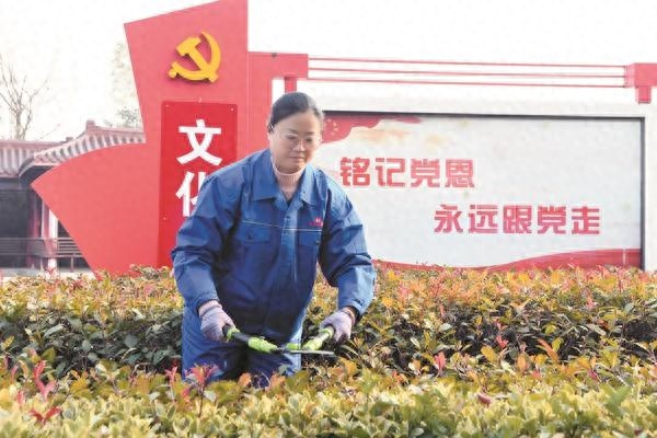18年如一日，她用双手守护厂区的每一个清晨与黄昏  第1张
