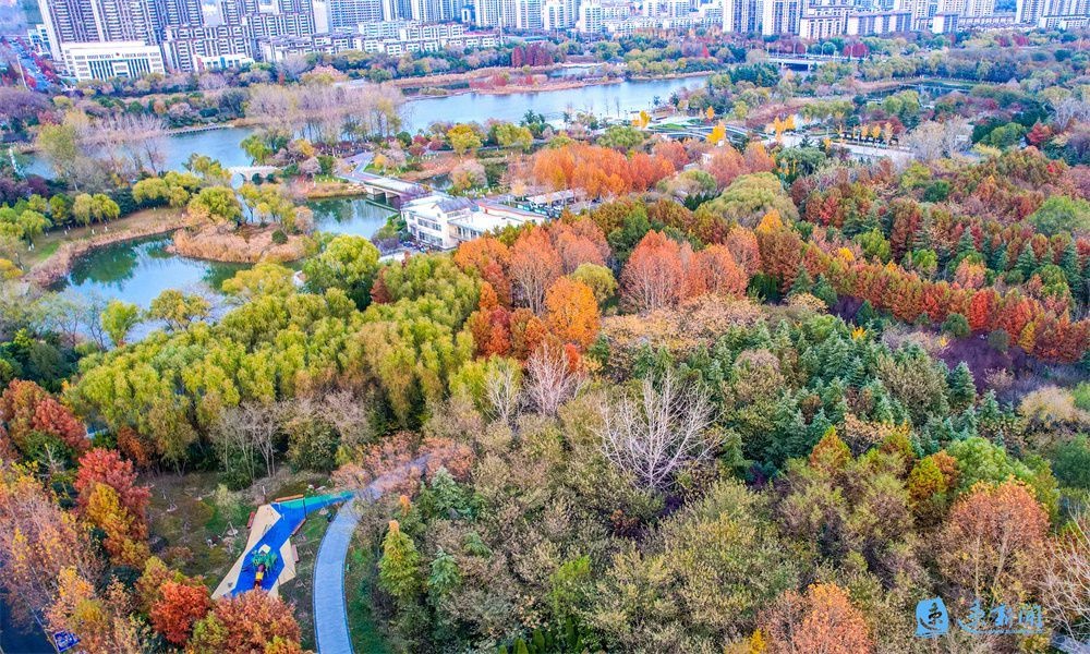 宿迁园林绿化：从国家园林城市到生态园林城市的华丽蜕变  第2张