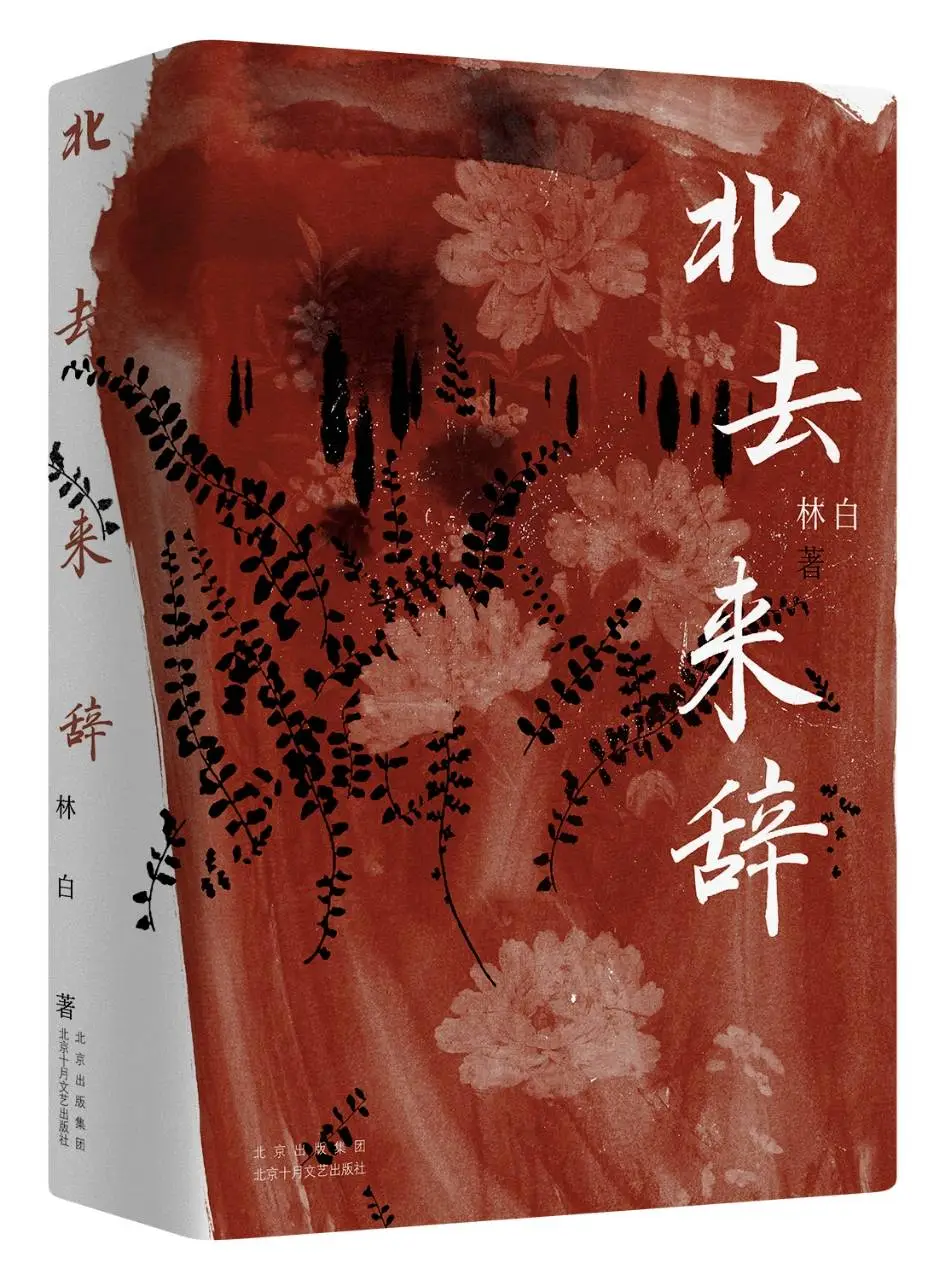 林白女性三部曲发布会：三十年时光构建的小说世界，你敢不敢来探索？  第4张