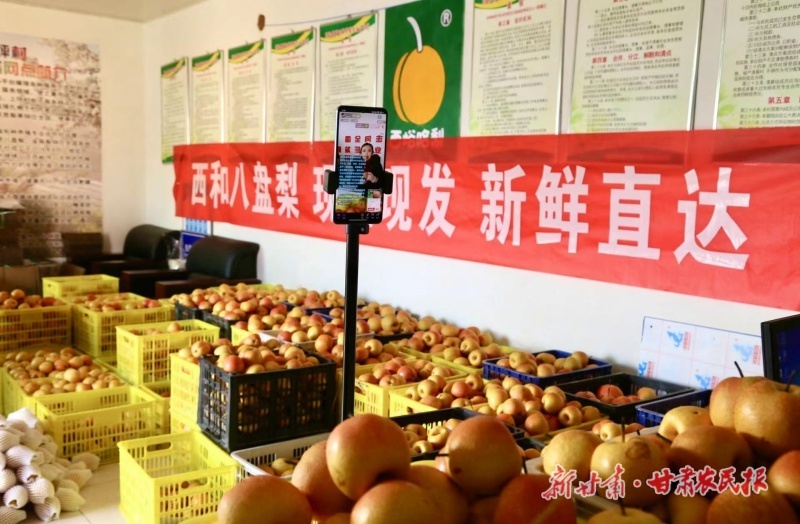 果农直播带货，八盘梨销量暴涨！你还在等什么？  第2张