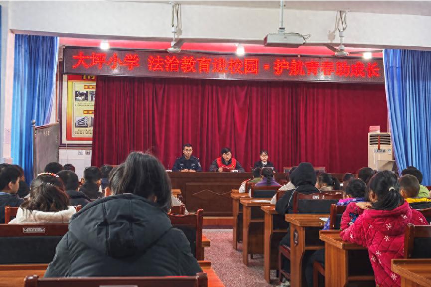 揭秘：小学生如何通过宪法知识问答互动，提升自我保护能力？