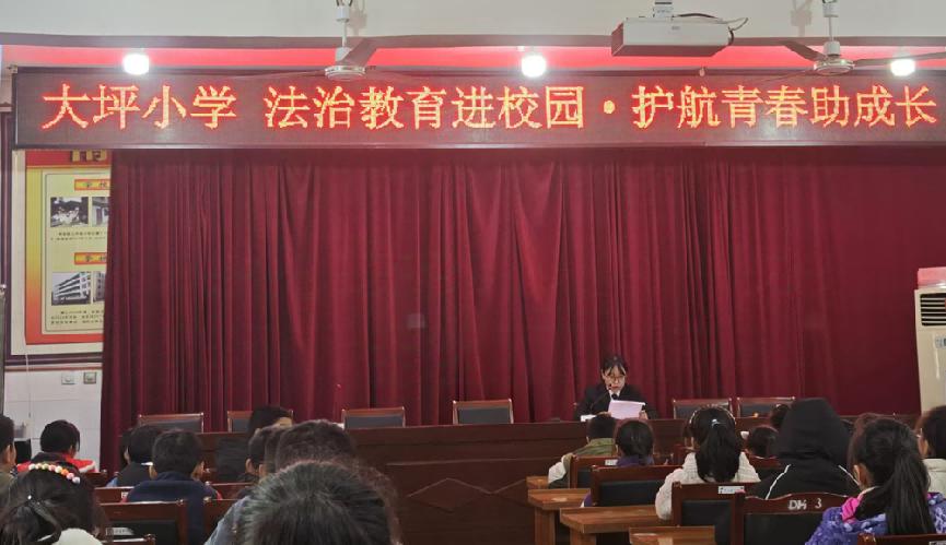 揭秘：小学生如何通过宪法知识问答互动，提升自我保护能力？  第2张