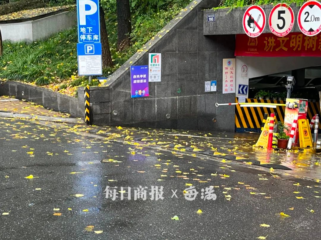 杭州山区已飘雪！未来三天雨夹雪持续，主城区会迎来初雪吗？  第4张