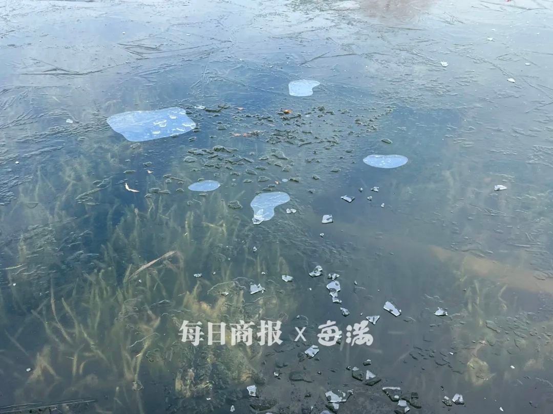 杭州山区已飘雪！未来三天雨夹雪持续，主城区会迎来初雪吗？  第7张