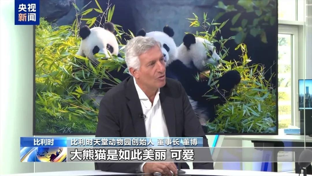 比利时民众泪别大熊猫天宝宝弟宝妹，背后故事令人动容  第3张