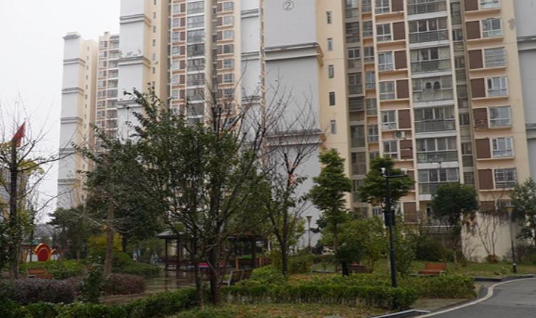 深夜敲门声不断，杨女士惊恐不安，真相竟是……  第4张