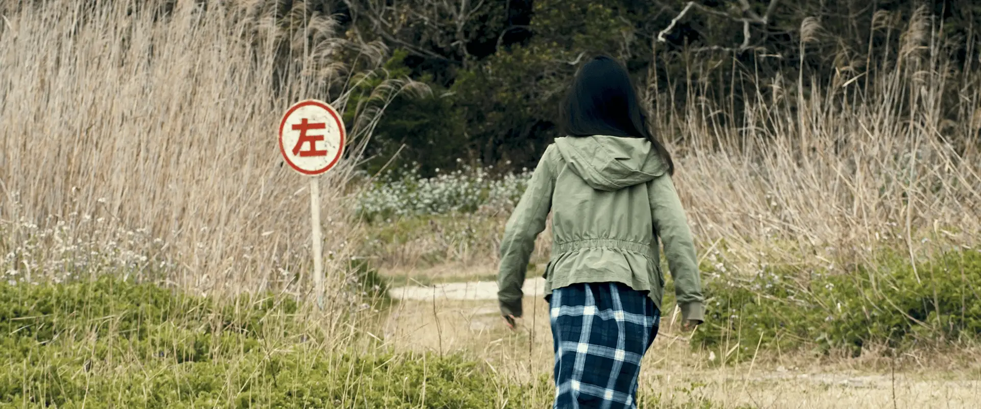 东亚女性电影：跨越水域的群岛，能否推倒隔绝的墙？  第2张