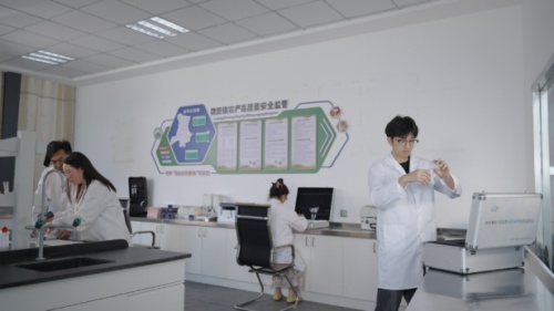 魏营西瓜新品牌标志发布，3款标志2款IP，引领农产品品牌新潮流  第6张