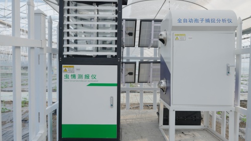 江苏泗洪西瓜产业园竟用这套系统，种植效率翻倍