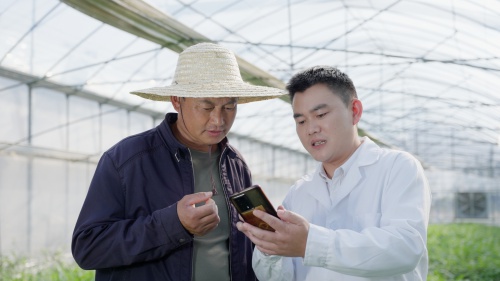 江苏泗洪西瓜产业园竟用这套系统，种植效率翻倍  第2张