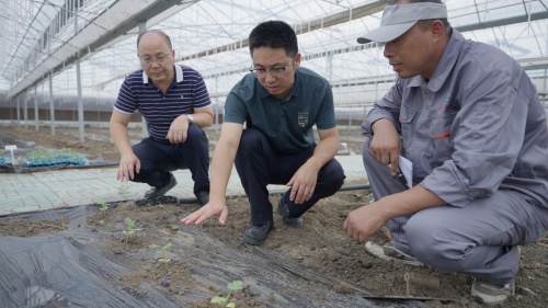 江苏泗洪西瓜产业园竟用这套系统，种植效率翻倍  第3张