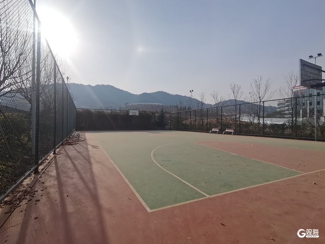 2024年李沧区公园城市建设大揭秘：樱花路、湖心亭、景观廊架，你准备好了吗？  第1张