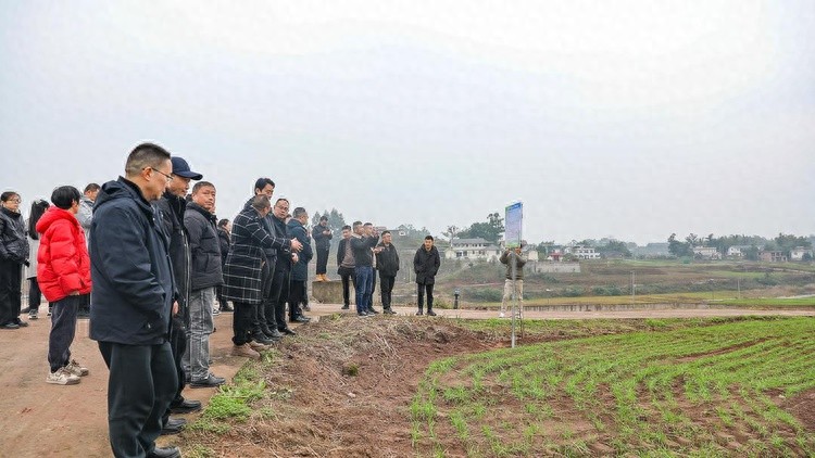 自贡沿滩区2025年粮油生产大揭秘：科技化种植引领农业新未来