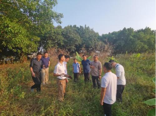 海珠区田长制：守护耕地红线的秘密武器，你绝对想不到的监管新招  第2张