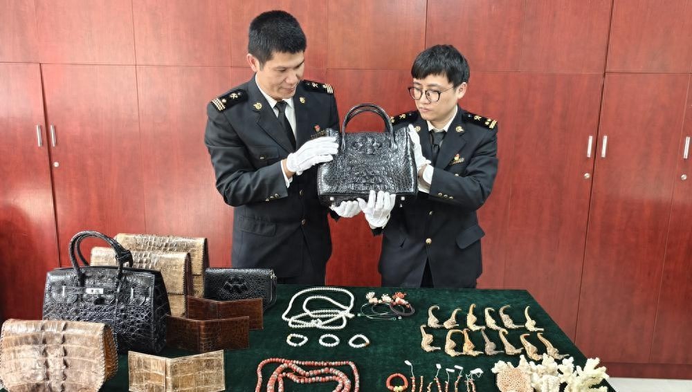 广州海关查获97.36公斤濒危动物制品，严厉打击非法走私行为