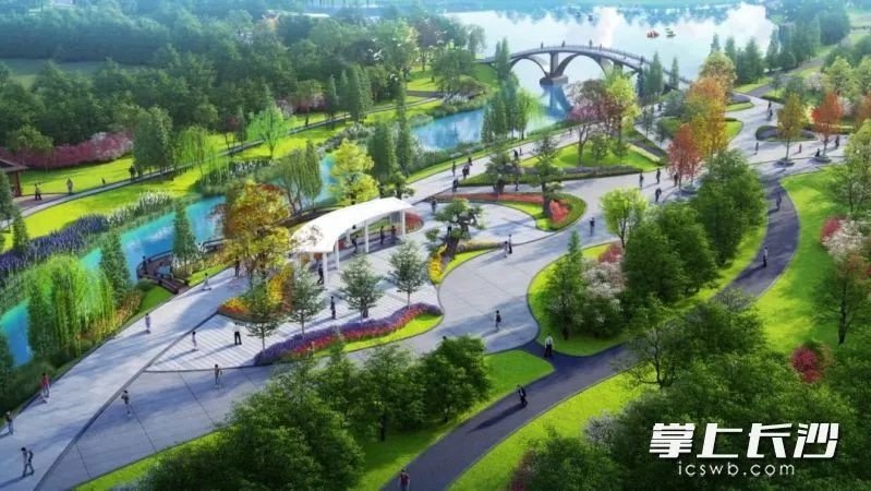 长沙湘江科学城将迎来首座湿地公园，投资2.3亿打造生态新地标  第1张