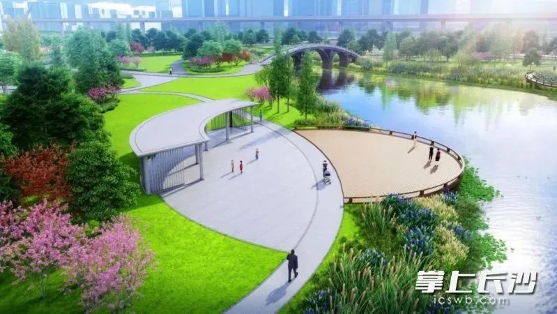 长沙湘江科学城将迎来首座湿地公园，投资2.3亿打造生态新地标  第2张