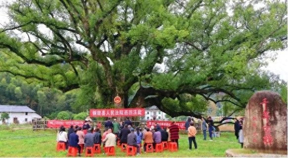 铜鼓县创新环资审判模式，实现审理一案、教育一片的法律效果  第1张