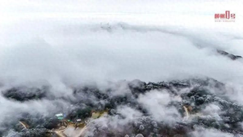 南宁气温暴跌至10℃！湿冷魔法攻击来袭，你准备好秋裤了吗？