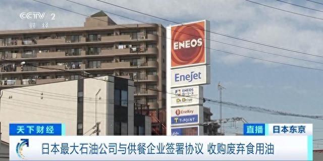 日本石油公司为何纷纷争夺废弃食用油？废弃食用油又有何大用途？  第1张