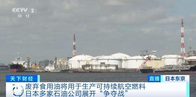 日本石油公司为何纷纷争夺废弃食用油？废弃食用油又有何大用途？  第2张