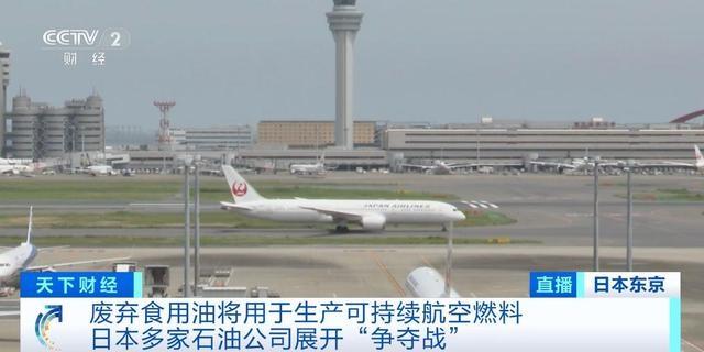 日本石油公司为何纷纷争夺废弃食用油？废弃食用油又有何大用途？  第3张