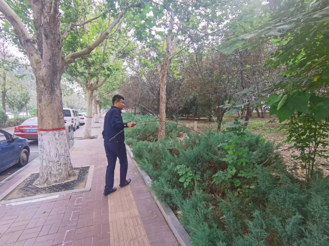 国庆期间城管执法不放松，全力维护城市环境  第4张