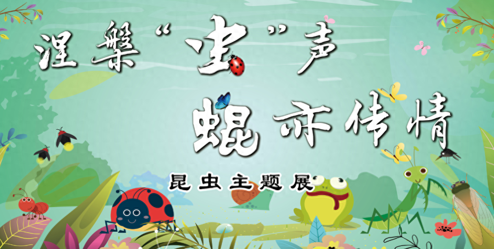 国庆热门景点！省自然博物馆印章成游客新宠，你盖了吗？  第1张