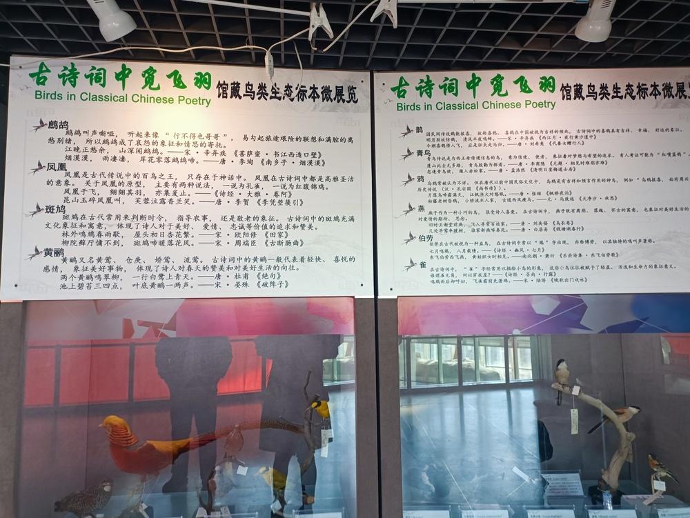 国庆热门景点！省自然博物馆印章成游客新宠，你盖了吗？  第2张