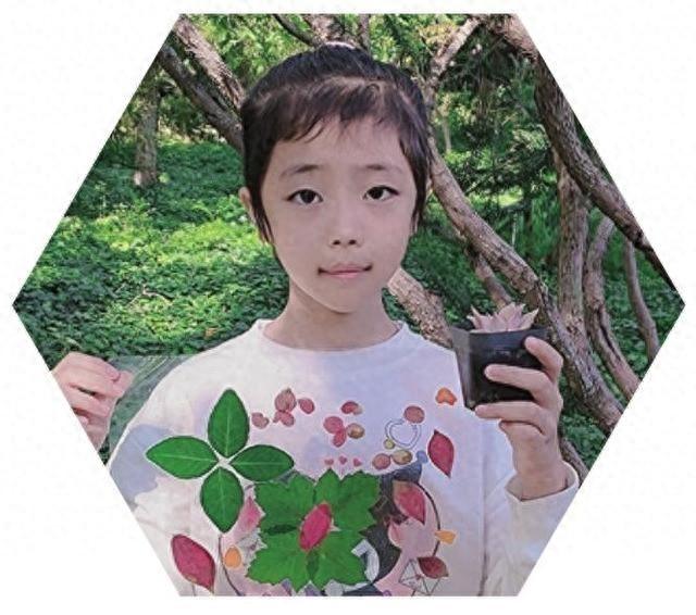 快来看看！全国科普日，辽沈晚报会员小记者的植物标本研学之旅  第1张