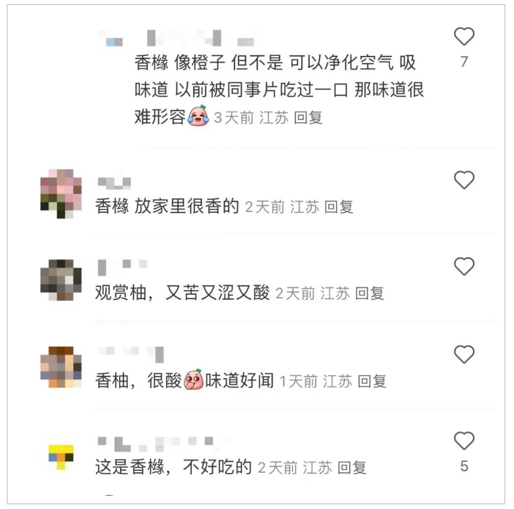 路边的银杏果有毒，别再捡了！这些果实也千万别吃  第3张