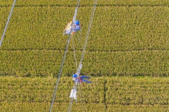 4500 余套相间间隔棒即将上岗，守护淮安电网安全  第4张
