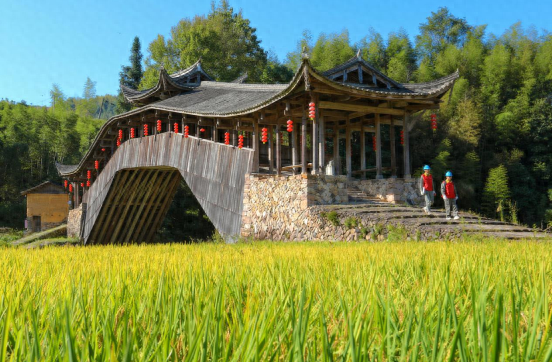 秋收时节，供电公司员工深入田间，保障电力安全，助力丰收