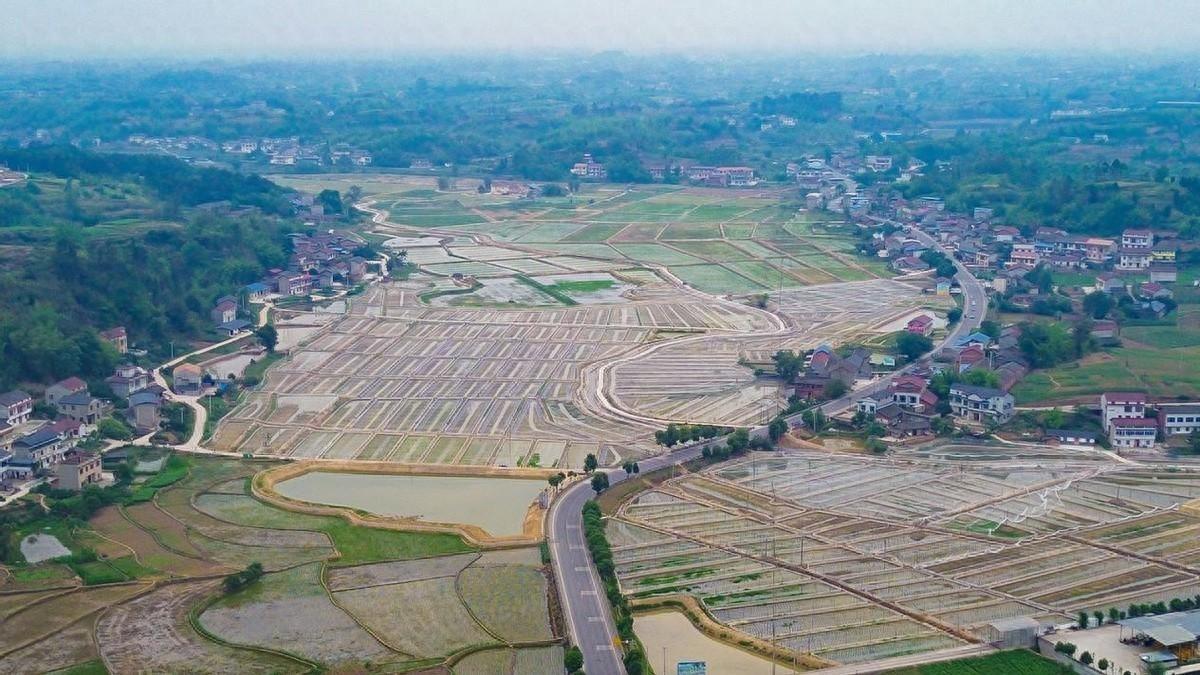 四川牛佛镇：金融助力土地整治，万亩良田华丽转身  第1张