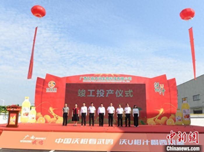 南宁武鸣区首个标准化大型沃柑汁生产项目竣工投产，产值惊人  第1张