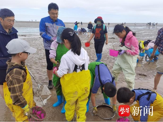 盐城条子泥竟隐藏着这些神秘生物  第2张